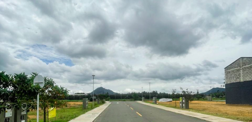 Lote sector Éxito-Viva