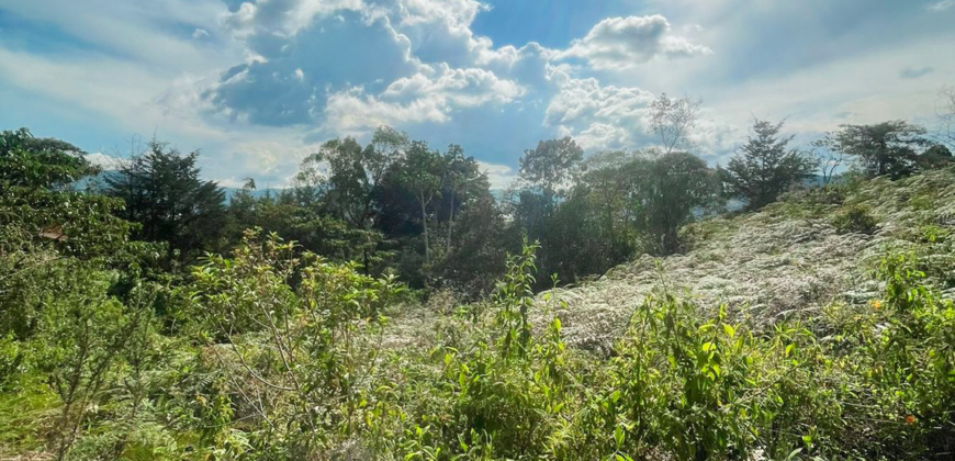 Lote campestre con hermosa vista