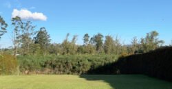 Lote sector aeropuerto