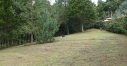 Lote sector autopista Medellín-Bogotá