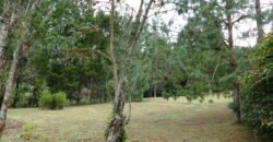 Lote sector autopista Medellín-Bogotá