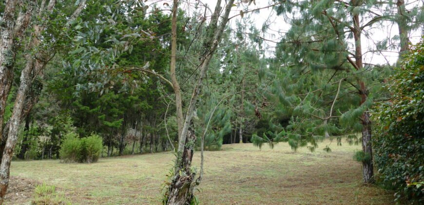 Lote sector autopista Medellín-Bogotá