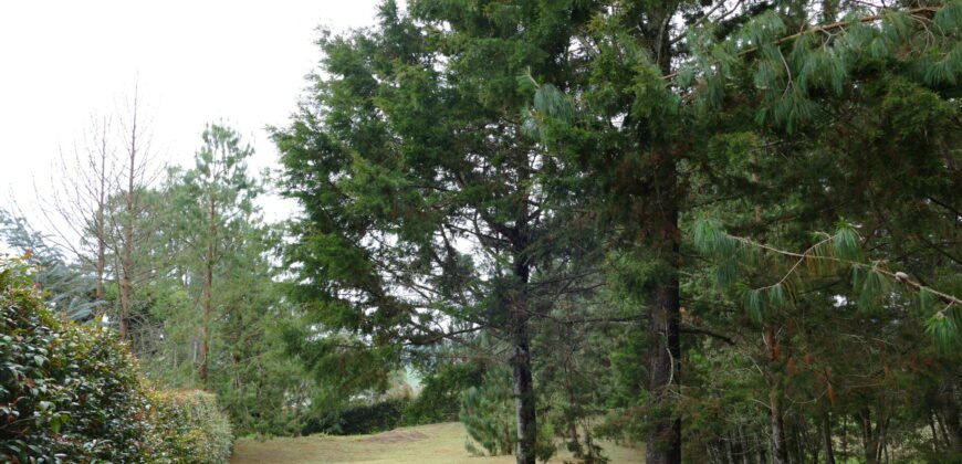 Lote sector autopista Medellín-Bogotá