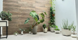 Casa confortable sector Éxito-Viva