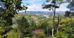 Finca en sector El Peñol